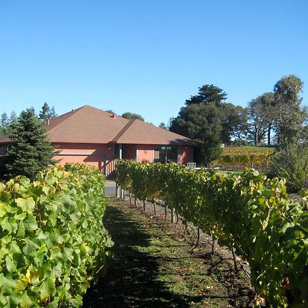 Pearlessence Vineyard Inn Sebastopol Extérieur photo
