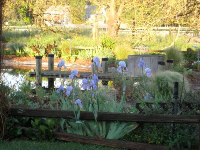 Pearlessence Vineyard Inn Sebastopol Extérieur photo