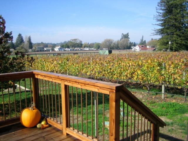 Pearlessence Vineyard Inn Sebastopol Extérieur photo