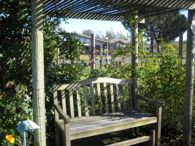 Pearlessence Vineyard Inn Sebastopol Extérieur photo